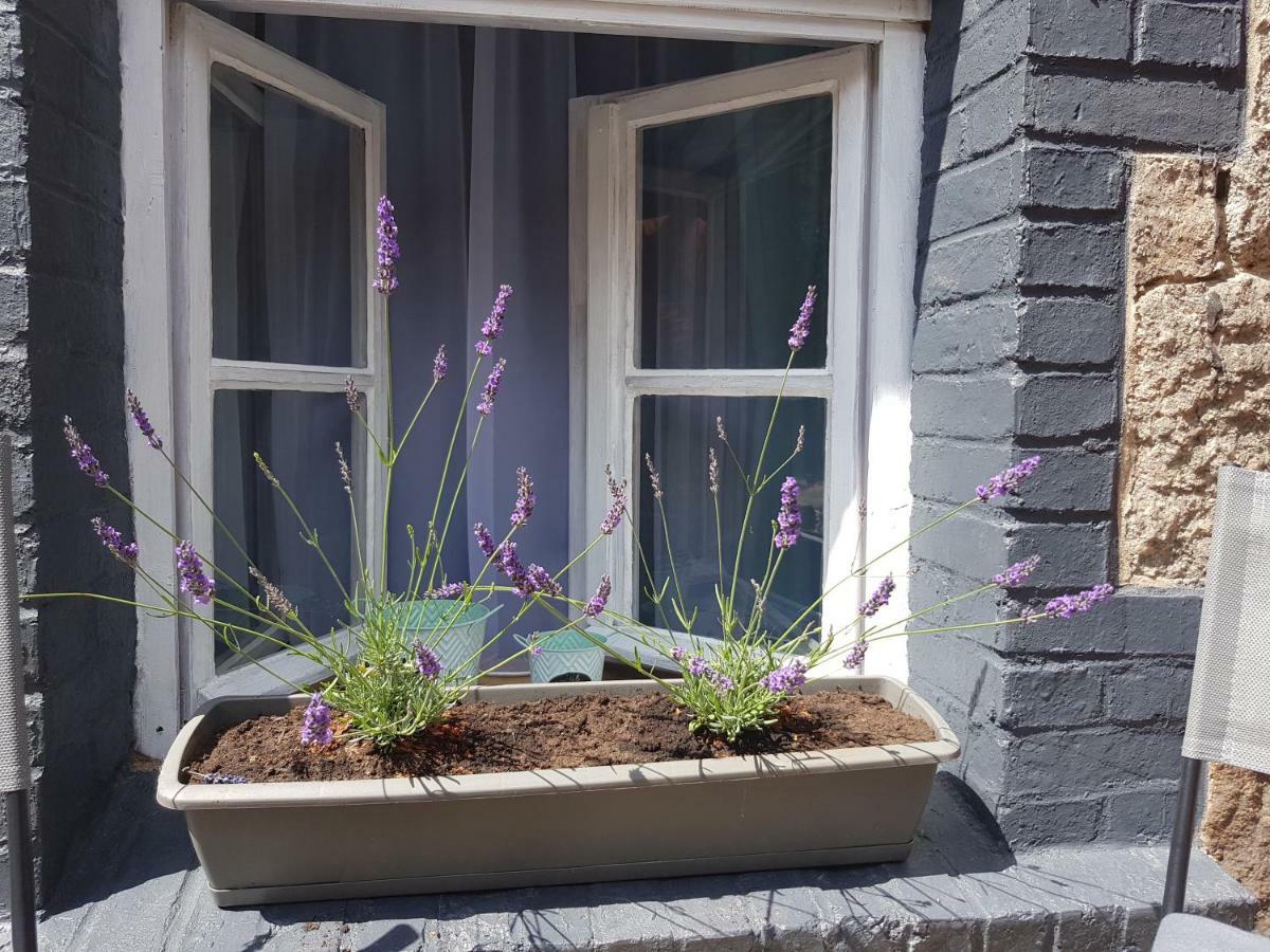 Apartamenty Klimacik 卡尔帕奇 外观 照片